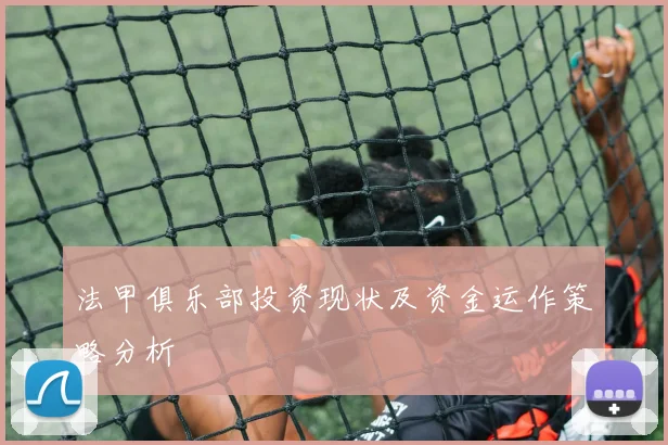 法甲俱乐部投资现状及资金运作策略分析